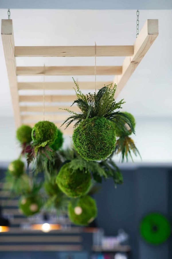 How to Implement a Japanese Kokedama Garden in a Sunroom?