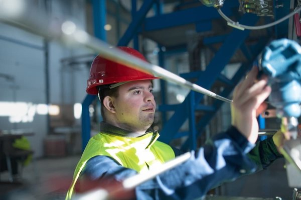 How to Introduce an African Grey Parrot to a New Companion Bird?